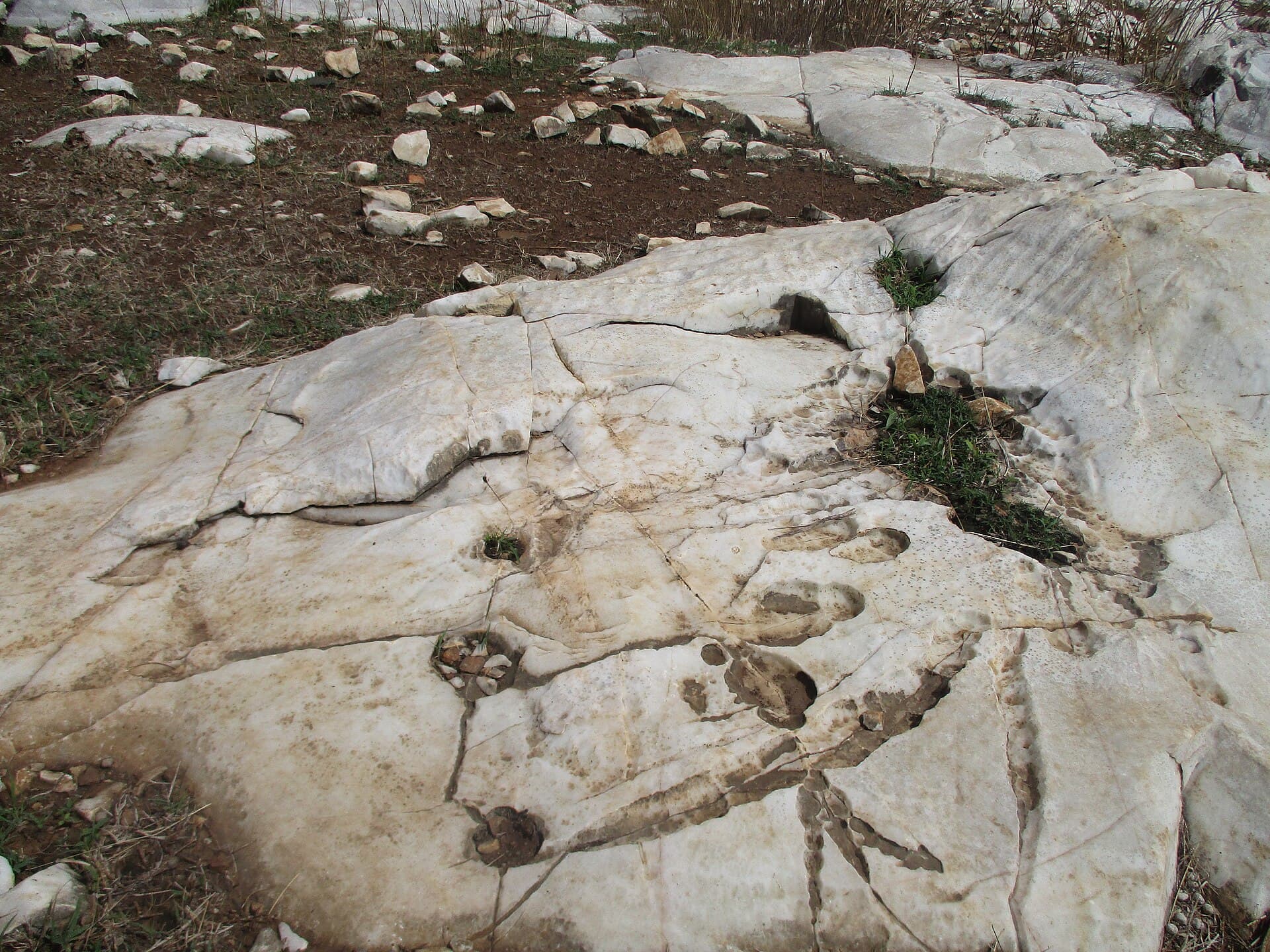 Bidzar Rock Engravings 2