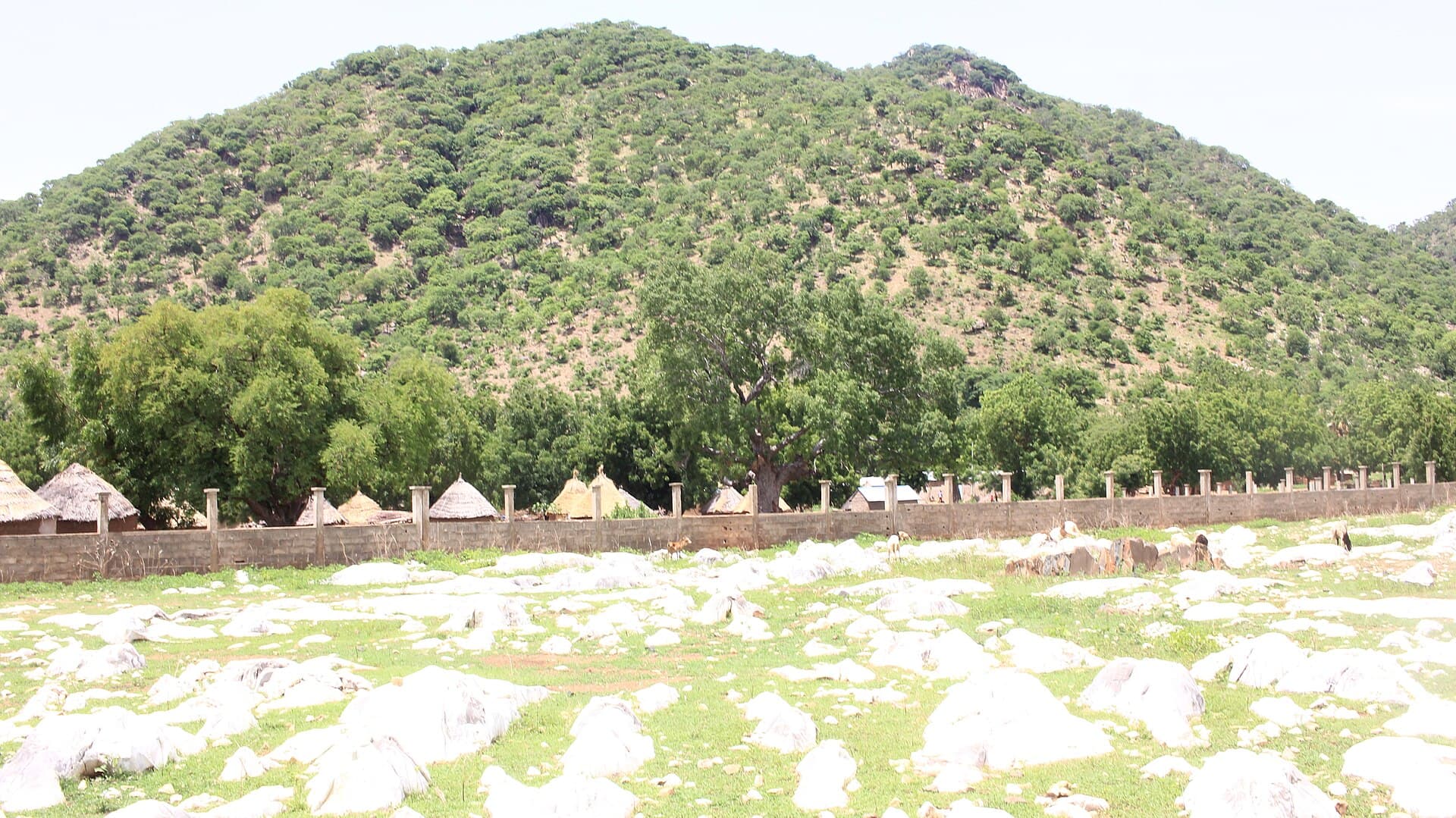 Bidzar Rock Engravings 3