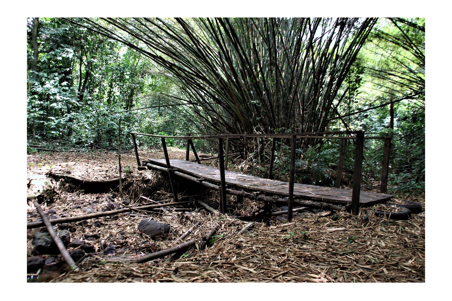 Bimbia Slave Trade Site 3