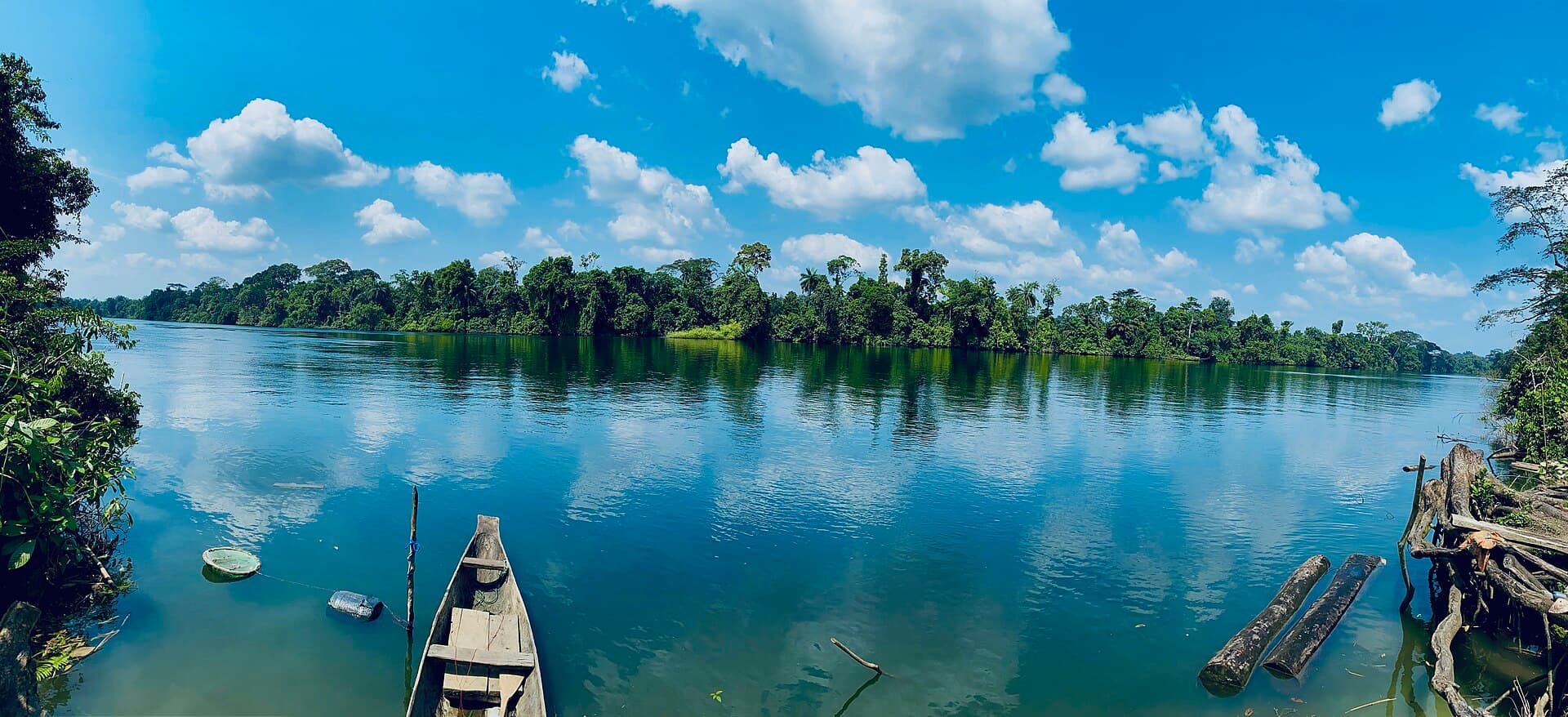 Korup National Park 3