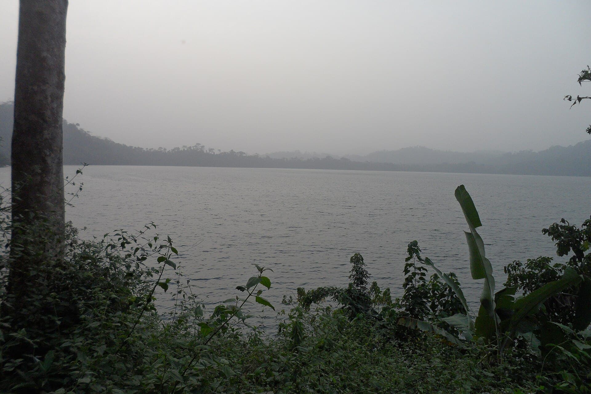 Lac Barombi Mbo 2