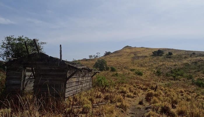 Mount Oku & Kilum-Ijim Forest 2