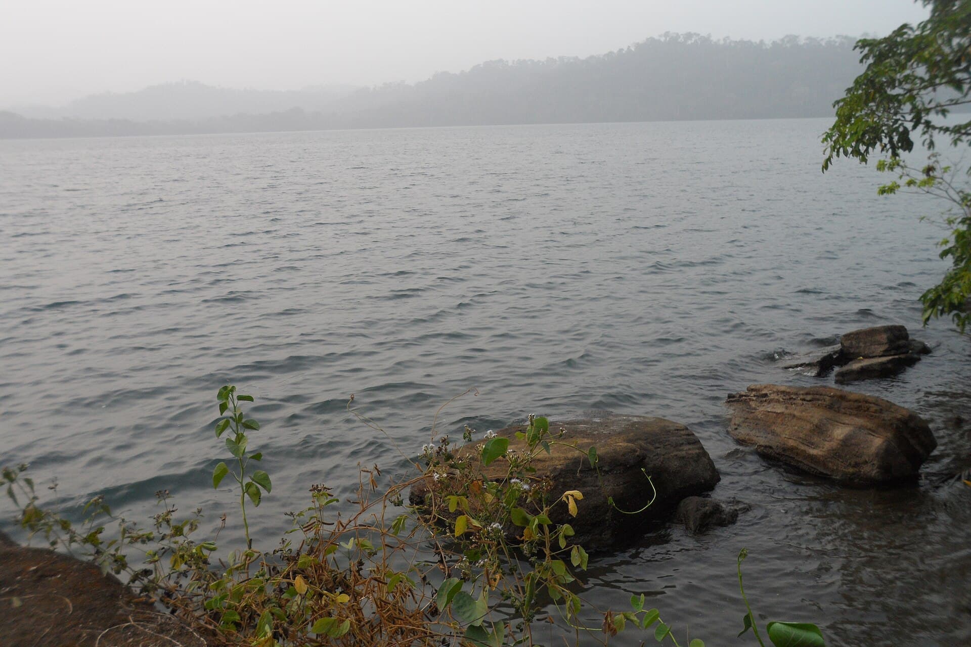 Lac Barombi Mbo