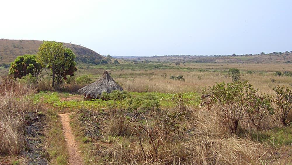Plateau de l'Adamaoua et Mont Ngaoundéré